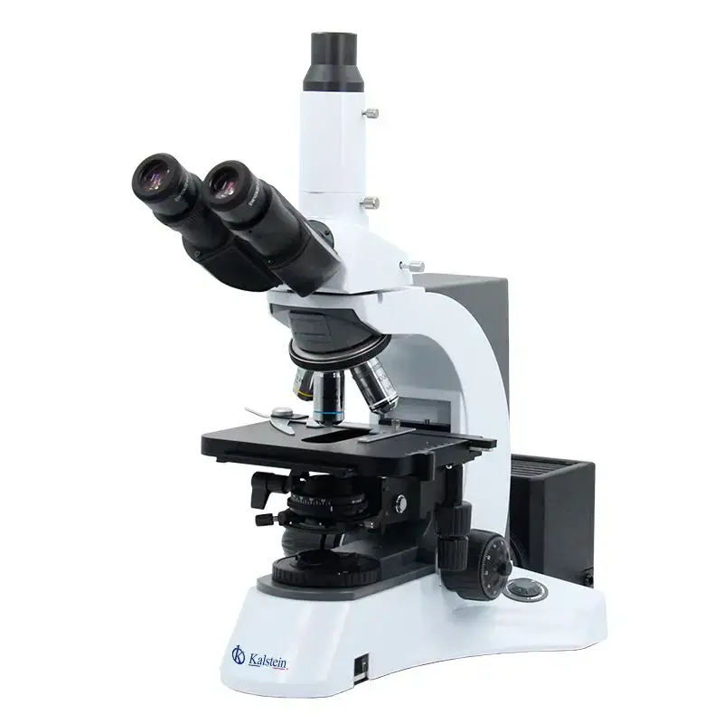 Consumibles y accesorios compatibles para el microscopio trinocular YR0231