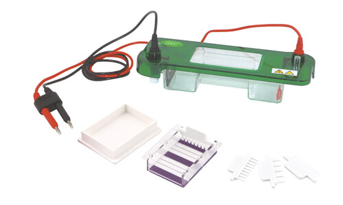 Normativas ISO/IEC y cumplimiento regulatorio en laboratorio: electroforesis horizontal