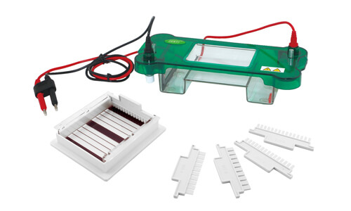 Electroforesis horizontal YR03416