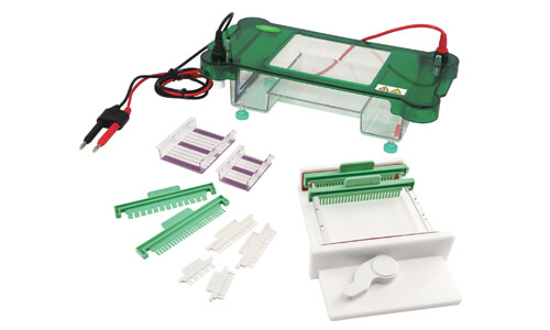 Electroforesis horizontal YR03419
