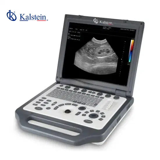 Doppler Color Veterinario: Aplicaciones Reales en Laboratorios Clínicos y Hospitalarios 2026