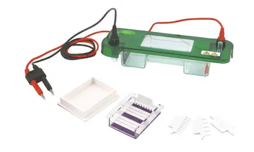 ¿Cómo funciona un equipo de electroforesis?