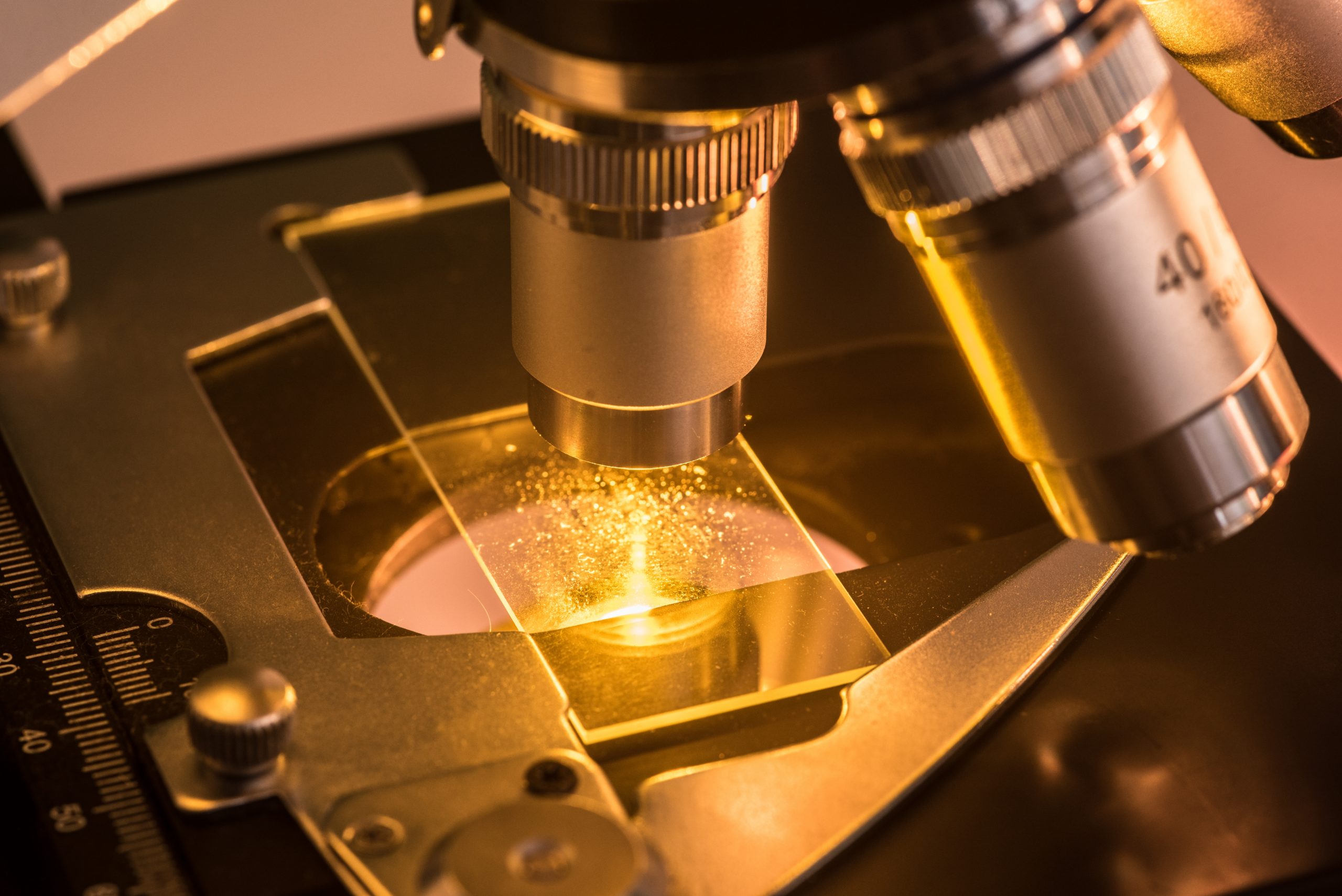 Microscopio: Iluminación Halógena vs. LED