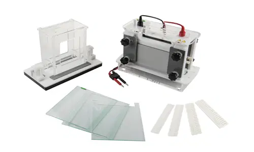 ¿Qué es la electroforesis?