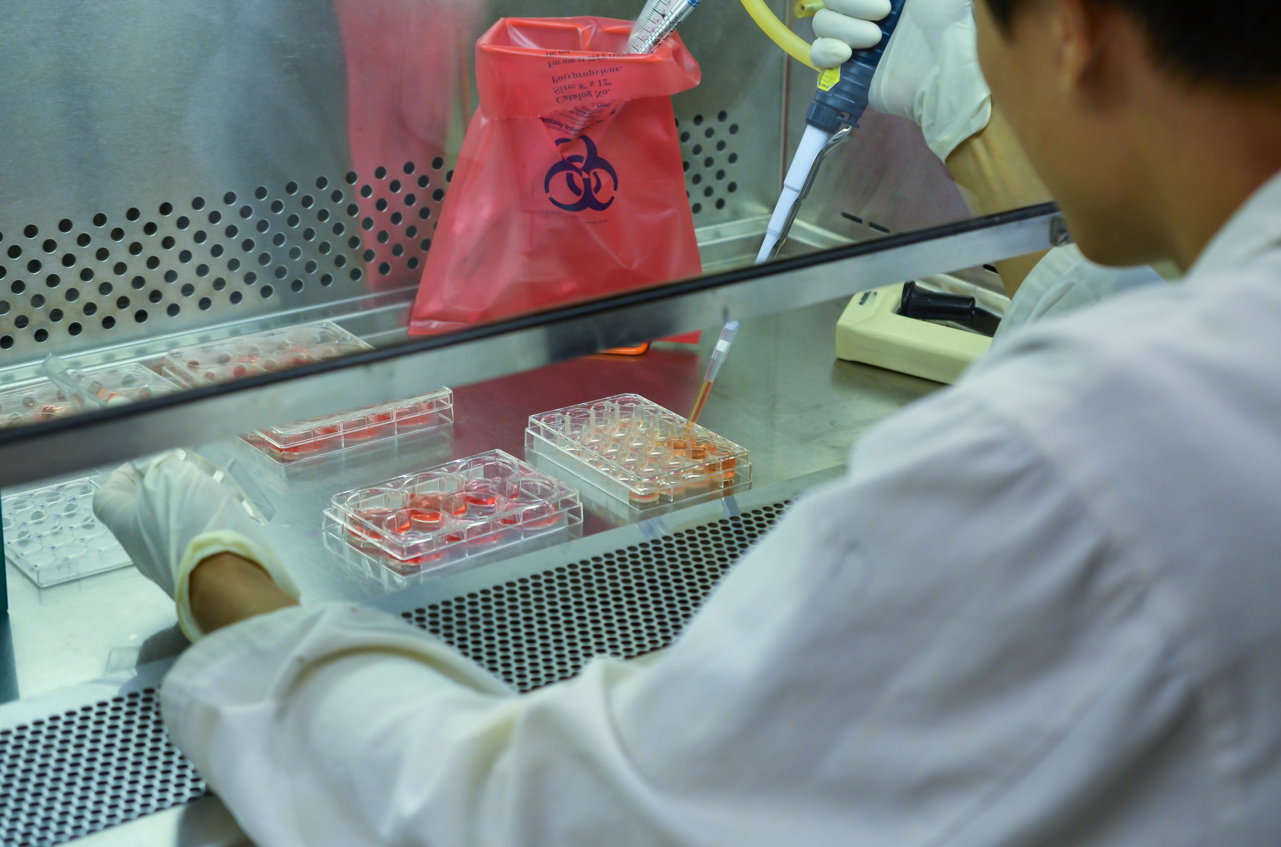 Cabina de bioseguridad a elegir para trabajar con el COVID-19