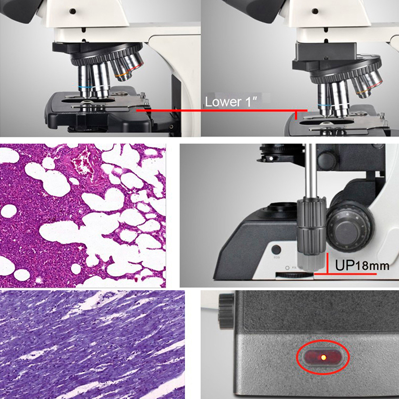 Microscopio de laboratorio halógeno manual YR0266A // YR0266C – 7