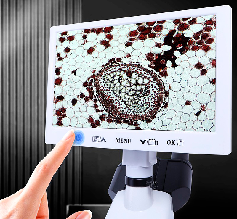 Comparativa de Microscopios Digitales: Kalstein vs Bresser
