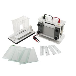 Innovación Inteligente: Un Salto Cualitativo en los Equipos de Electroforesis de Laboratorio