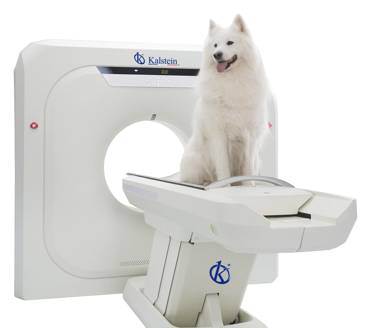 Explorando la Innovación: Escaner TC Veterinario de Precisión
