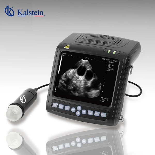 Explorando la Eficiencia y Calidad del Ultrasonido Veterinario
