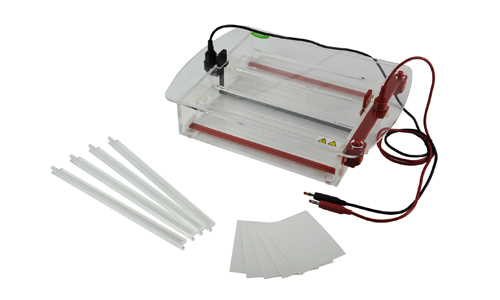Electroforesis Horizontal de Membrana de Acetato de Celulosa YR03423