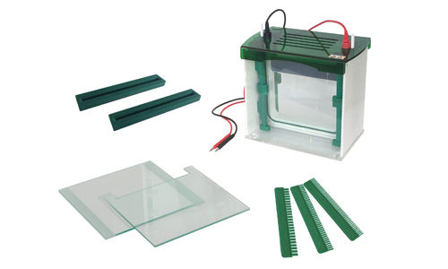 Celda de Electroforesis en Gel Vertical YR03429