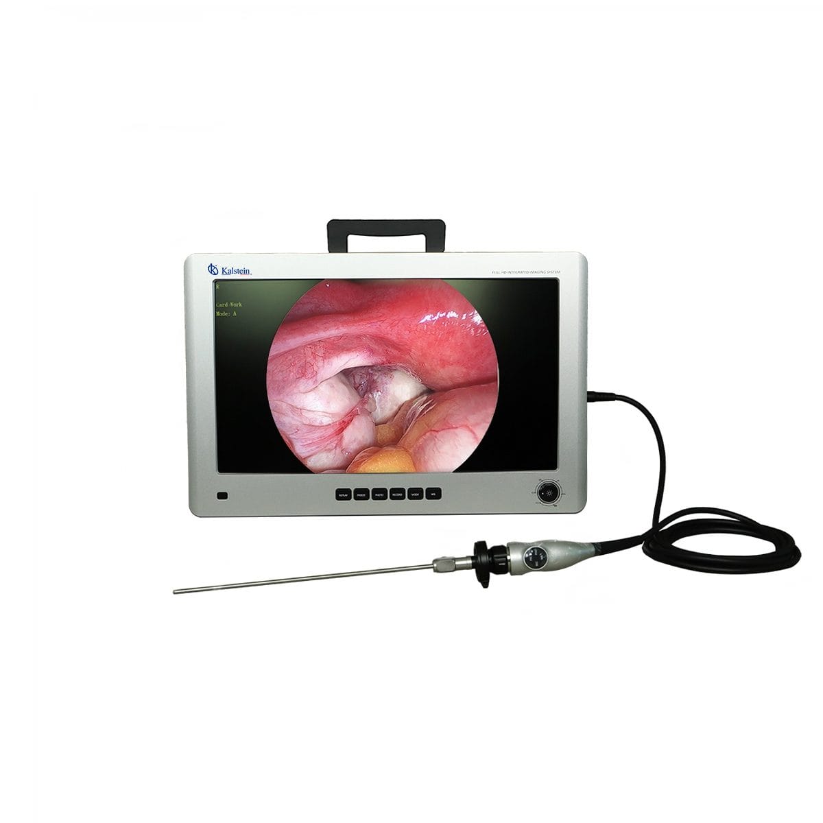 Sistema de Laparoscopia Veterinario